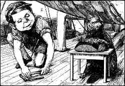 The Beaver Looking the Opposite Way