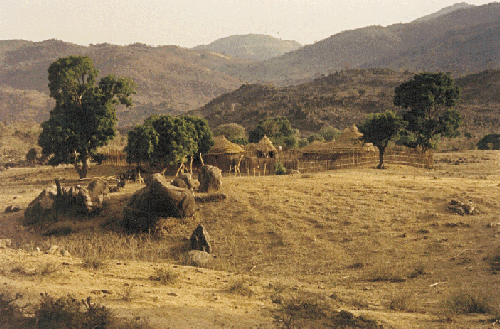 Leteji compound